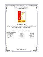 báo cáo sử dụng công cụ geospatial để đánh giá tiềm năng sinh khối của tỉnh nam định