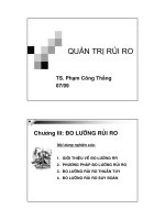 GIÁO TRÌNH QUẢN TRỊ RỦI RO - CHƯƠNG III doc