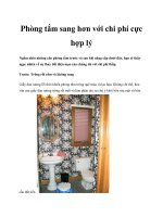 Phòng tắm sang hơn với chi phí cực hợp lý pptx