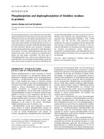 Báo cáo Y học: Phosphorylation and dephosphorylation of histidine residues in proteins Susanne Klumpp and Josef Krieglstein Abteilung Biochemie und Institut fu¨r Pharmakologie und ppt