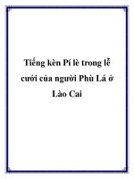 Tiếng kèn Pí lè trong lễ cưới của người Phù Lá ở Lào Cai pot