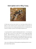 Kinh nghiệm nuôi cá Bống Tượng docx