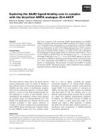 Báo cáo khoa học: Exploring the GluR2 ligand-binding core in complex with the bicyclical AMPA analogue (S)-4-AHCP potx