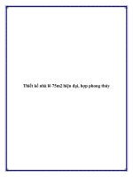 Thiết kế nhà lô 75m2 hiện đại, hợp phong thủy pot