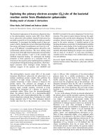 Báo cáo Y học: Exploring the primary electron acceptor (QA)-site of the bacterial reaction center from Rhodobacter sphaeroides Binding mode of vitamin K derivatives pptx