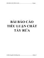 BÀI BÁO CÁO TIỂU LUẬN CHẤT TẨY RỬA docx