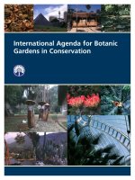 International Agenda for Botanic Gardens in Conservation doc