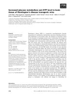 Báo cáo khoa học: Increased glucose metabolism and ATP level in brain tissue of Huntington’s disease transgenic mice pdf