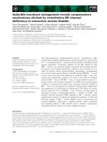 Báo cáo khoa học: Inducible knockout mutagenesis reveals compensatory mechanisms elicited by constitutive BK channel deﬁciency in overactive murine bladder pot