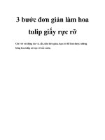 3 bước đơn giản làm hoa tulip giấy rực rỡ potx