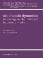 STOCHASTIC DYNAMICS Modeling Solute Transport in Porous Media pptx