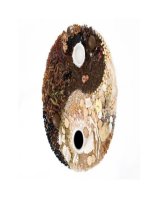 Hóa giải những chứng bệnh dễ mắc năm Quý Tỵ doc