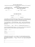 MẪU GIẤY PHÉP THI CÔNG pot