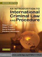 An Introduction to International Criminal Law and Procedure pdf