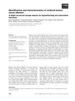 Báo cáo khoa học: Identiﬁcation and characterization of oxidized human serum albumin A slight structural change impairs its ligand-binding and antioxidant functions pptx