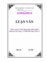 LUẬN VĂN: Thực trạng về hoạt động phát triển nguồn nhân lực tại công ty TNHH Đối Diện Châu Á docx