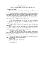 bao cao nhanh tien do tuyen truyen bau cu pot