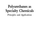 Principles and Applications Polyurethanes as Specialty Chemicals pot