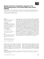 Báo cáo khoa học: Solution structure and backbone dynamics of the XPC-binding domain of the human DNA repair protein hHR23B docx