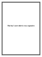 The boy’s new shirt is very expensive ppt