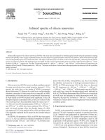 Infrared spectra of silicon nanowires
