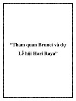 “Tham quan Brunei và dự Lễ hội Hari Raya” pdf
