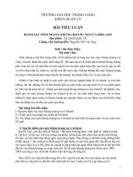 ĐÁNH GIÁ TÌNH TRẠNG KHỦNG HOẢNG NỢ CỦA IRELAND docx