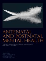 Antenatal and postnatal mental health potx