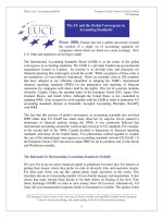 The EU and the Global Convergence in Accounting Standards doc