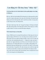 Lao động trẻ vẫn loay hoay 