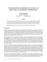 CONSUMER ONLINE SHOPPING ATTITUDES ANDBEHAVIOR : AN ASSESSMENT OF RESEARCH