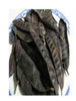 Bồ kết nhiều công dụng độc đáo docx