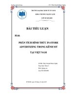 Tiểu luận: PHÂN TÍCH HÌNH THỨC IN-STORE ADVERTIZING TRONG KÊNH MT TẠI VIỆT NAM pot