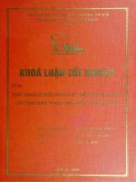 Thực trạng và triển vọng phát triển của dịch vụ EMS của tổng công ty Bưu chính - Viễn thông Việt Nam