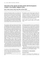 Báo cáo Y học: Interaction of the anterior fat body protein with the hexamerin receptor in the blowﬂy Calliphora vicina pot