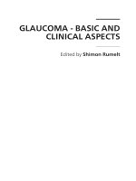 GLAUCOMA - BASIC AND CLINICAL ASPECTS pdf