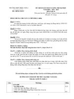 Đề Thi Thử Đại Học Khối C Lịch Sử 2013 - Phần 3 - Đề 2 pdf