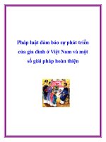 Pháp luật đảm bảo sự phát triển của gia đình ở Việt Nam và một số giải pháp hoàn thiện potx
