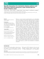 Báo cáo khoa học: Speciﬁc biomarkers for stochastic division patterns and starvation-induced quiescence under limited glucose levels in ﬁssion yeast docx