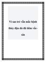 Vì sao trẻ vẫn mắc bệnh thủy đậu dù đã tiêm vắcxin pdf
