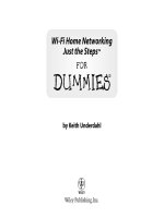 wi-fi home networking just the steps for dummies
