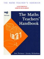 THE MATHS TEACHER’S HANDBOOK doc