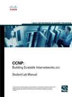 CCNP: building Scalable Internetworks v5.0 pdf