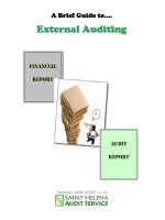 A Brief Guide to… External Auditing docx