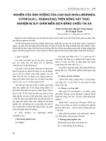 Nghiên cứu ảnh hưởng của Cao Quả Nhàu (Morinda Citrufolia L. Rubiaceas) trên động vật thực nghiệm bị suy giảm miễn dịch bằng chiếu tia xạ docx