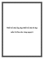 Thiết kế nhà ống đẹp-thiết kế nhà lô đẹp mẫu 5x25m-cho vùng ngoại ô ppt