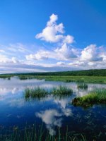 CLEAR WATERS AHEAD: COASTAL AND OCEAN WATER QUALITY potx