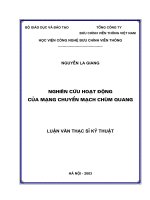 Luận văn nghiên cứu hoạt động của mạng chuyển mạch chùm quang pptx