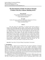 The Determinants of Bank Net Interest Margin: Evidence from the Lebanese Banking Sector ppt