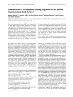 Báo cáo Y học: Determination of the consensus binding sequence for the puriﬁed embryonic heat shock factor 2 potx